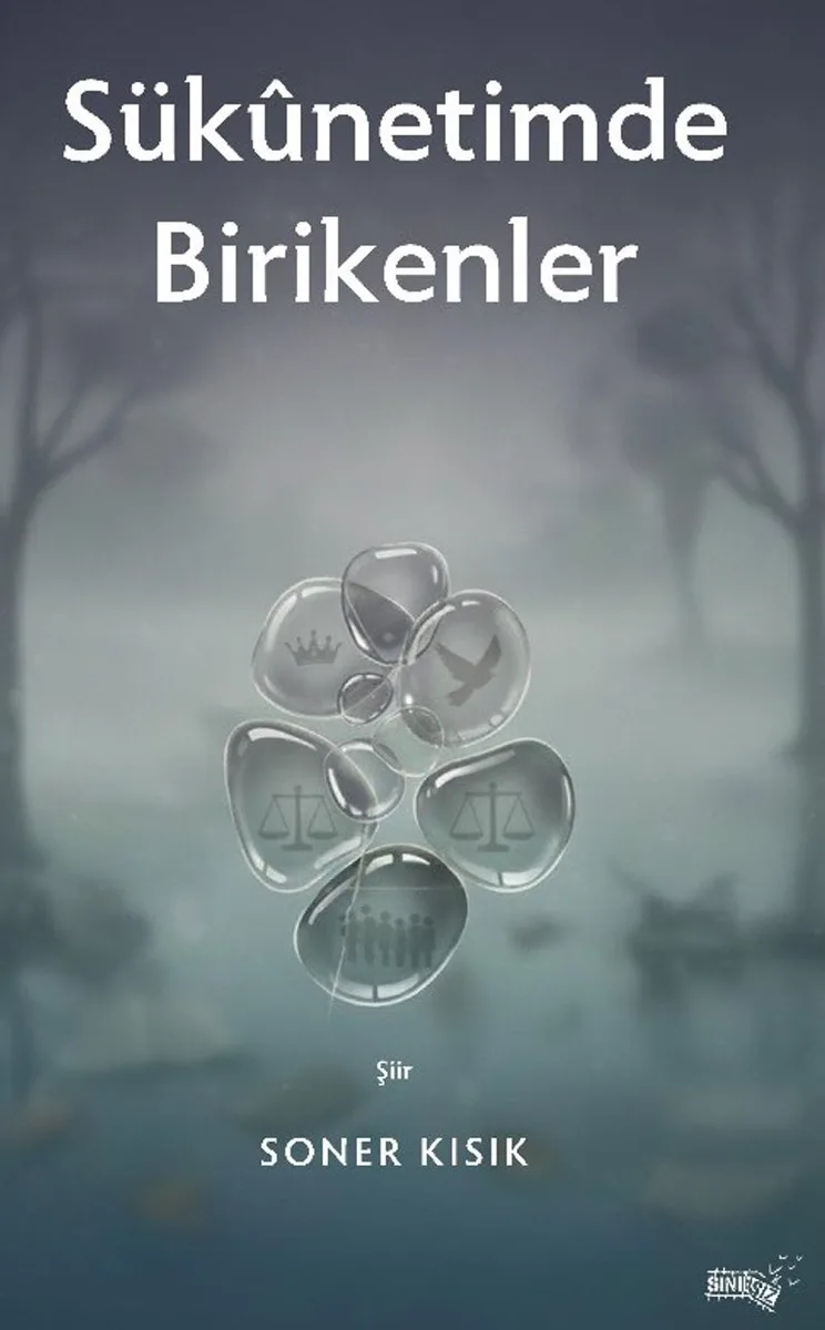 Sukunetimde Birikenler