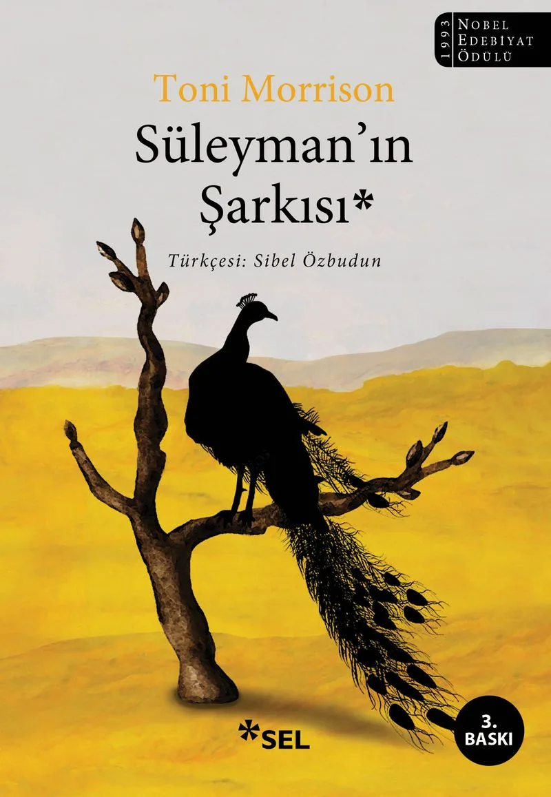 Süleyman'ın Şarkısı