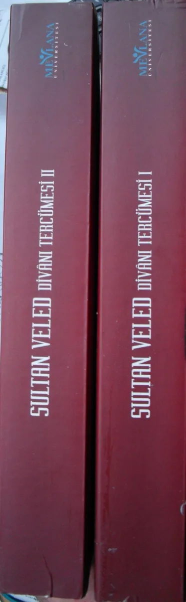 Sultan Veled Divanı Tercümesi (1-2 Takım)