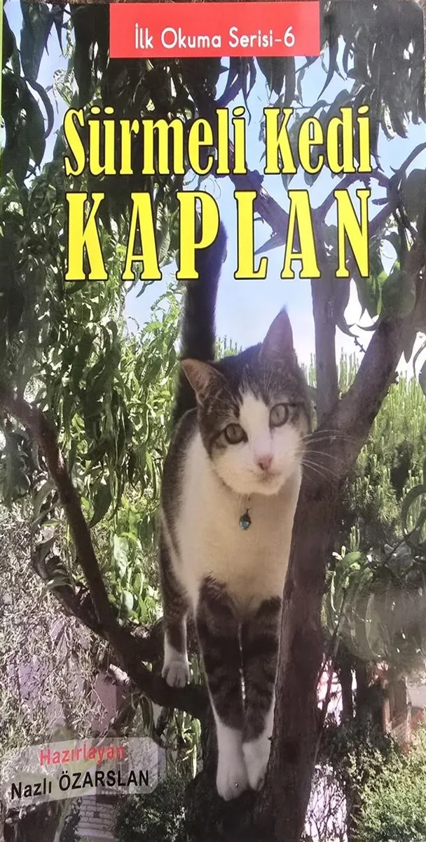 Sürmeli Kedi Kaplan