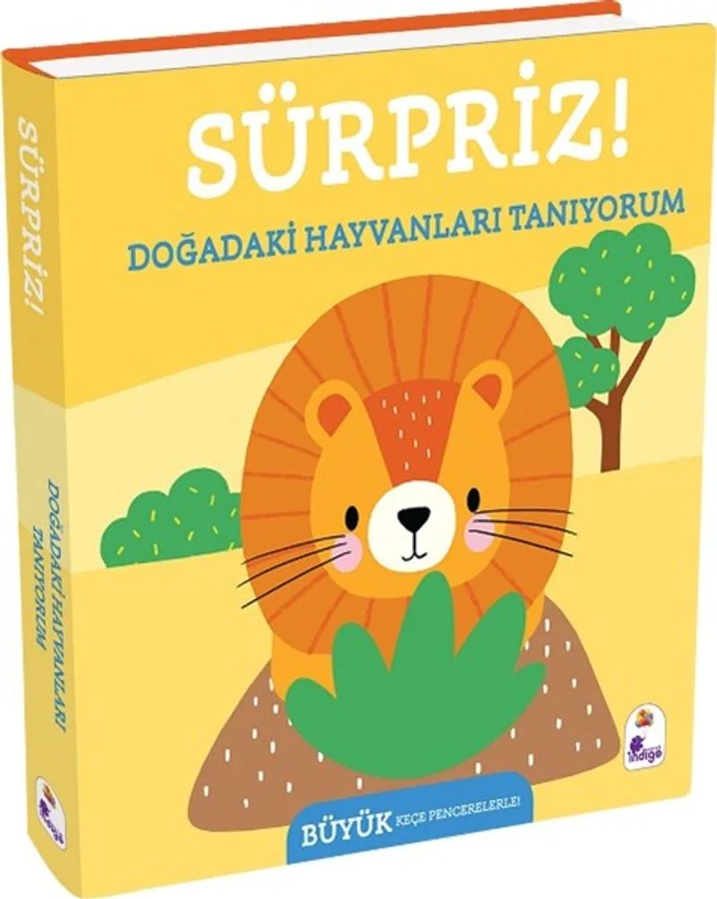 Sürpriz! / Doğadaki Hayvanları Tanıyorum