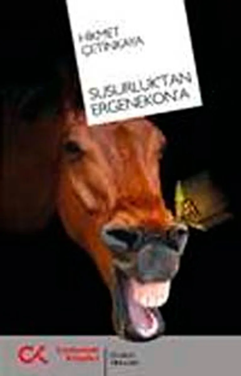 Susurluk'tan Ergenekon'a