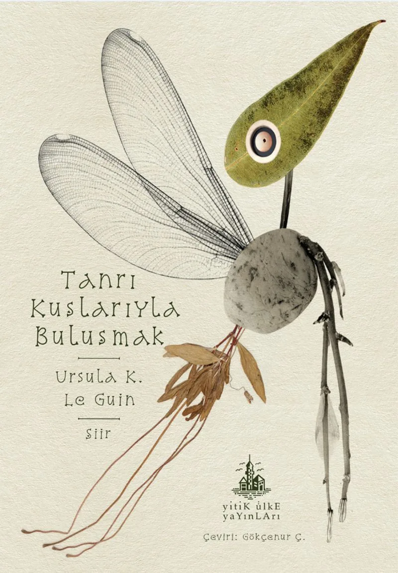Tanrı Kuşlarıyla Buluşmak