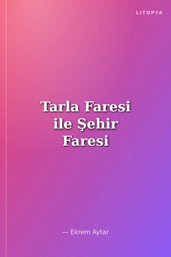 Tarla Faresi ile Şehir Faresi