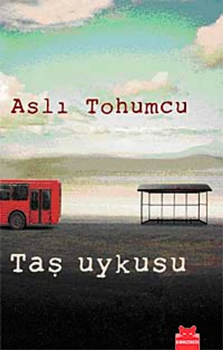 Taş Uykusu