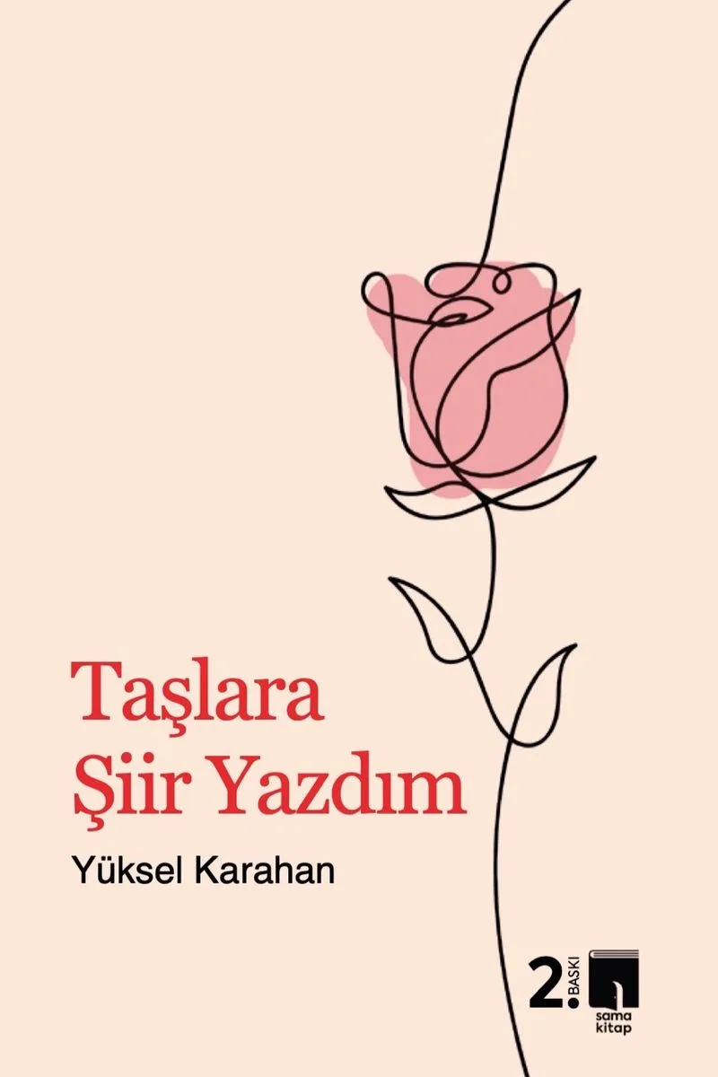 Taşlara Şiir Yazdım