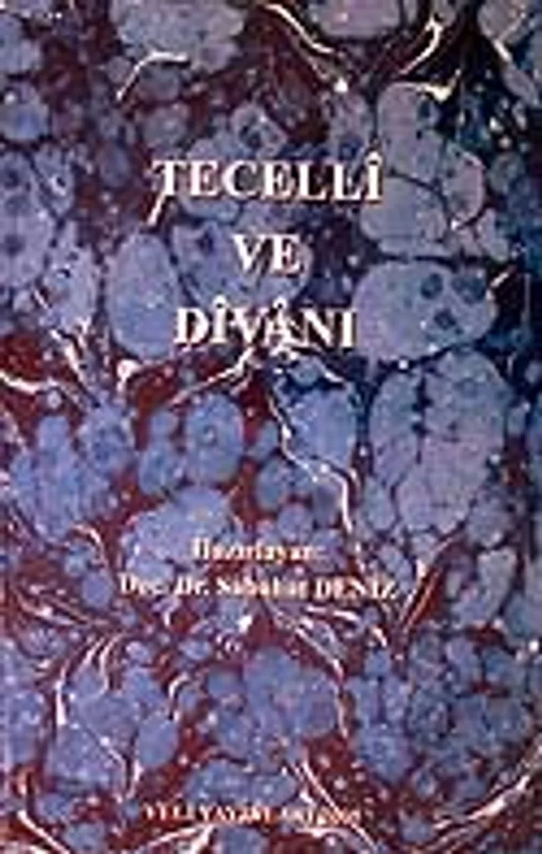 Tecelli ve Divanı / 41-D-9