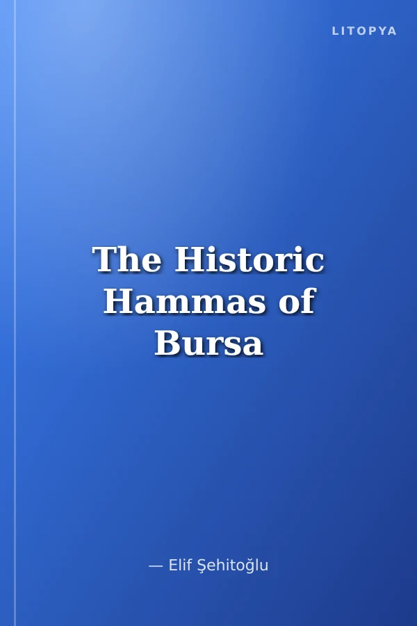 The Historic Hammas of Bursa