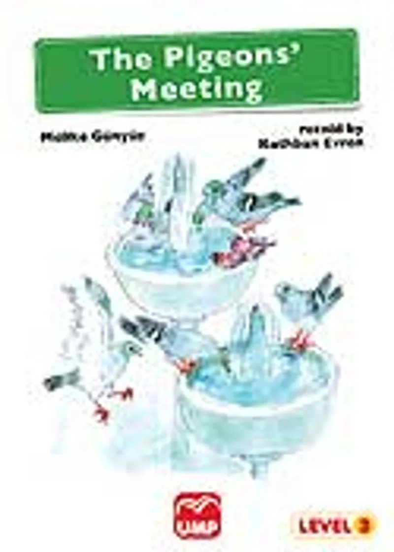 The Pigeons Meeting (Level 3)