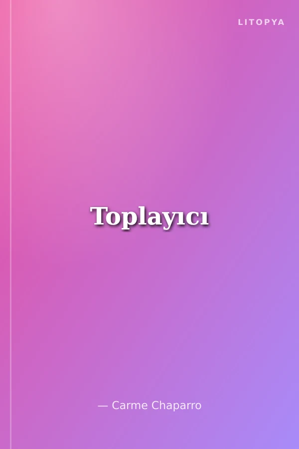 Toplayıcı