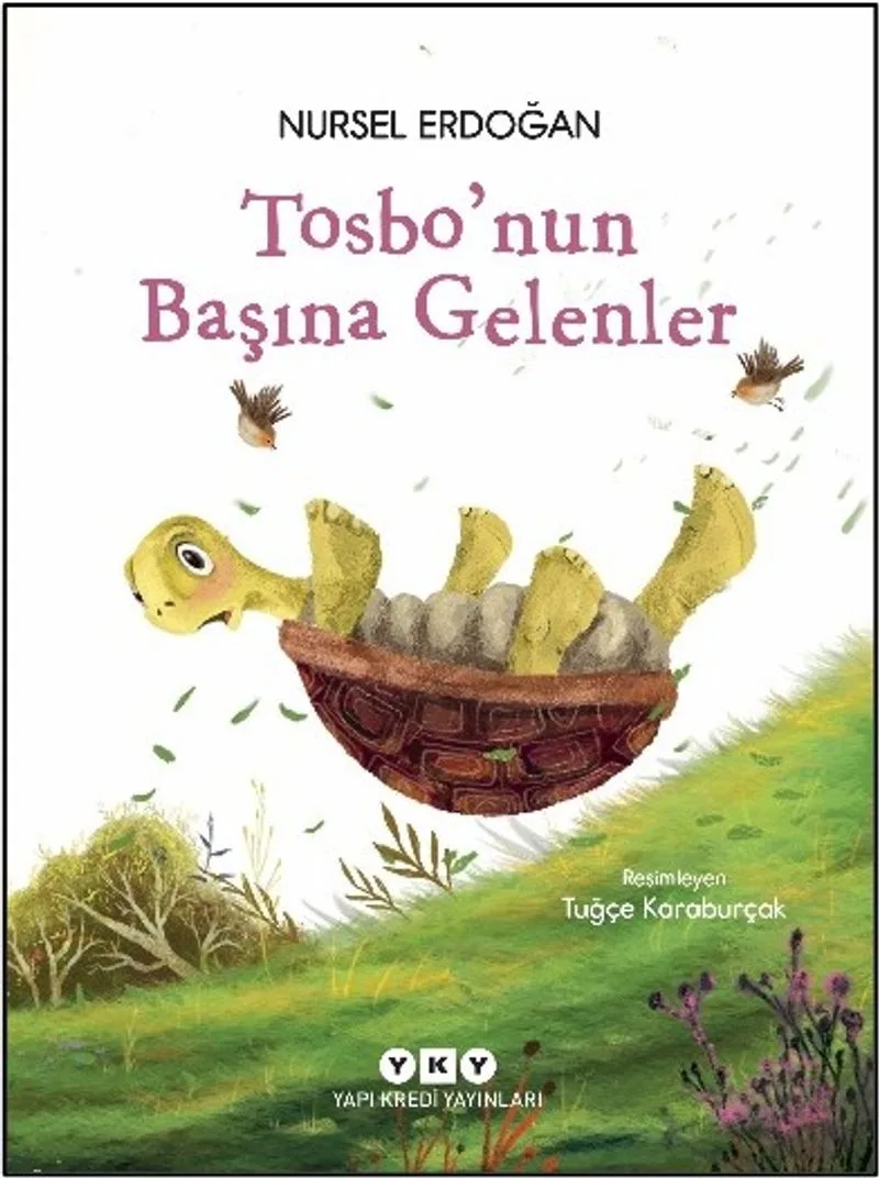 Tosbo'nun Başına Gelenler