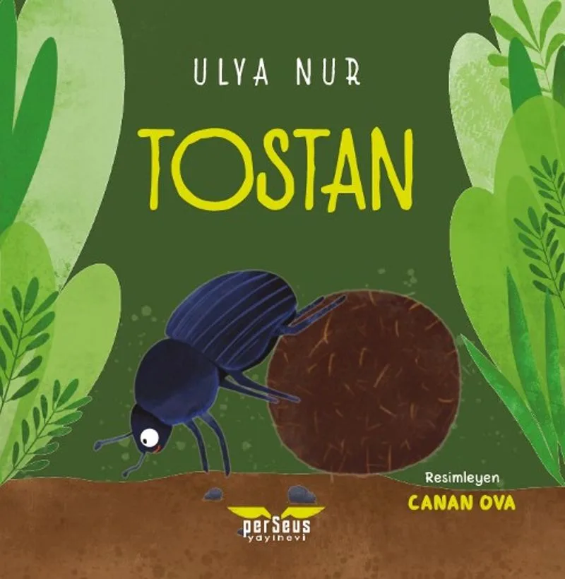 Tostan