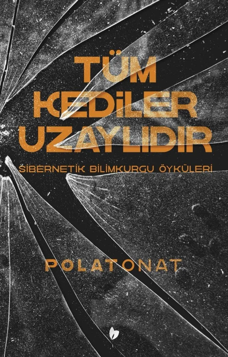 Tüm Kediler Uzaylıdır