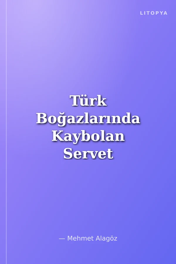 Türk Boğazlarında Kaybolan Servet Borç Sarmalından Kurtuluşun İlk Adımı