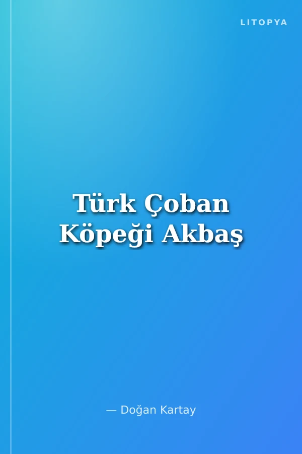 Türk Çoban Köpeği Akbaş