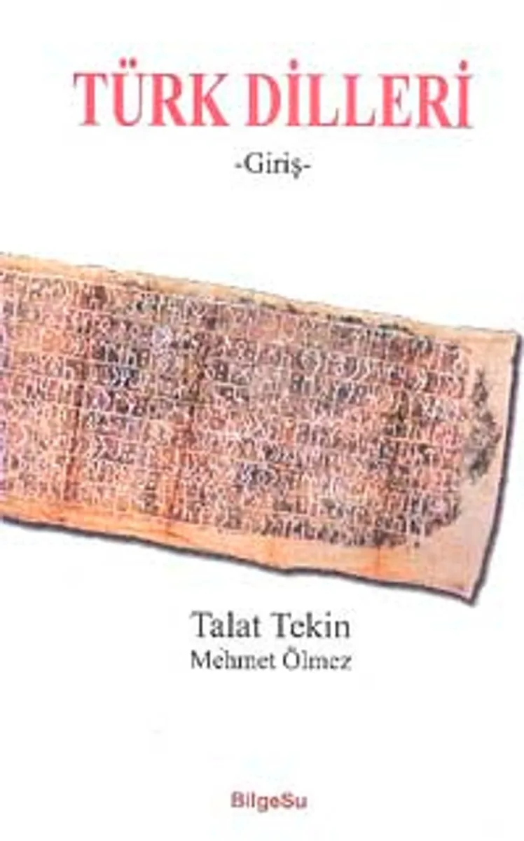 Türk Dilleri (Giriş)