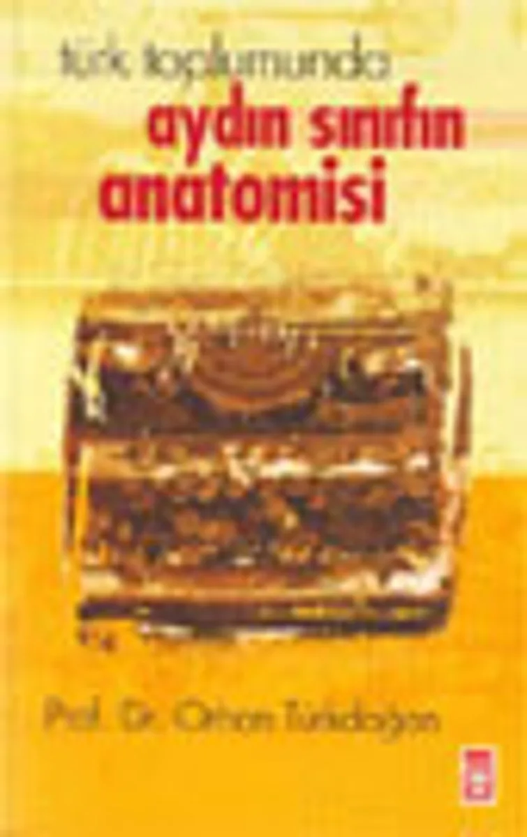 Türk Toplumunda Aydın Sınıfın Anatomisi