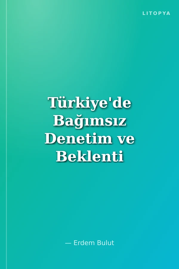 Türkiye'de Bağımsız Denetim ve Beklenti Boşluğu