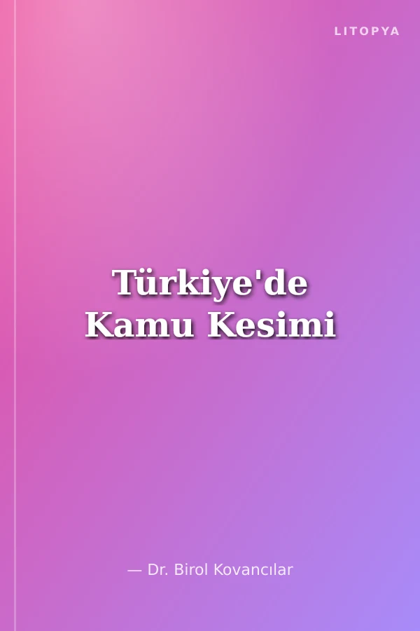 Türkiye'de Kamu Kesimi