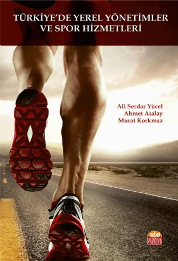 Türkiye'de Yerel Yönetimler ve Spor Hizmetleri