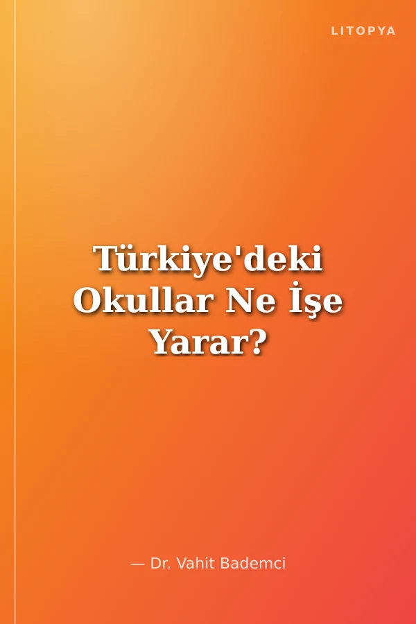 Türkiye'deki Okullar Ne İşe Yarar?
