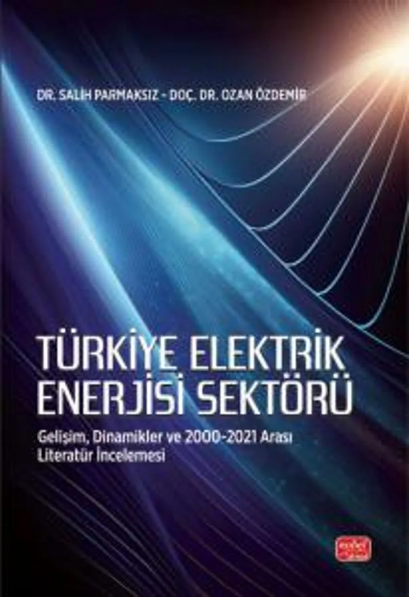 Türkiye Elektrik Enerjisi Sektörü Gelişim, Dinamikler ve 2000-2021 Arası Literatür İncelemesi