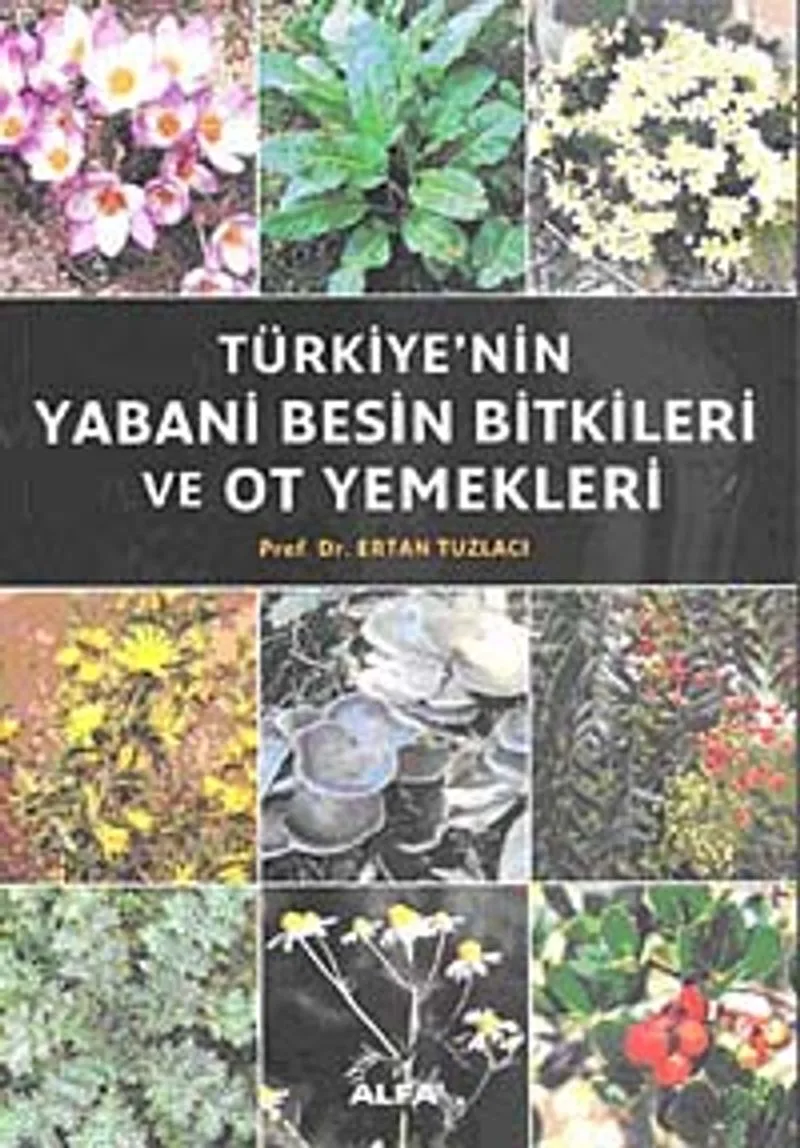 Türkiye'nin Yabani Besin Bitkileri ve Ot Yemekleri