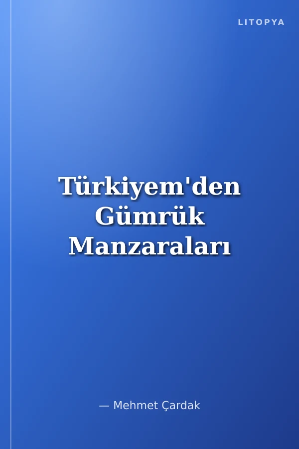 Türkiyem'den Gümrük Manzaraları