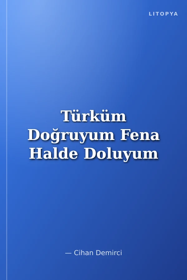 Türküm Doğruyum Fena Halde Doluyum
