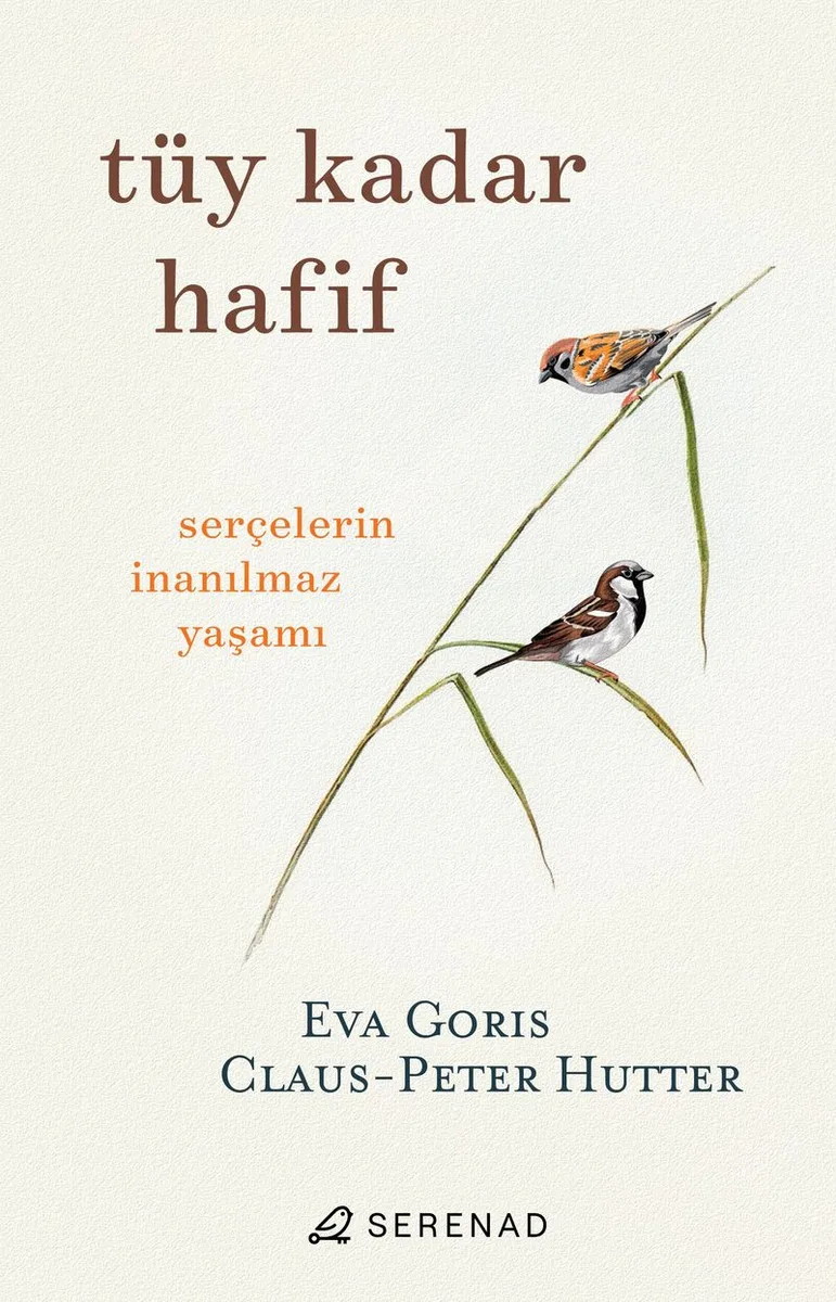 Tüy Kadar Hafif Serçelerin İnanılmaz Yaşamı