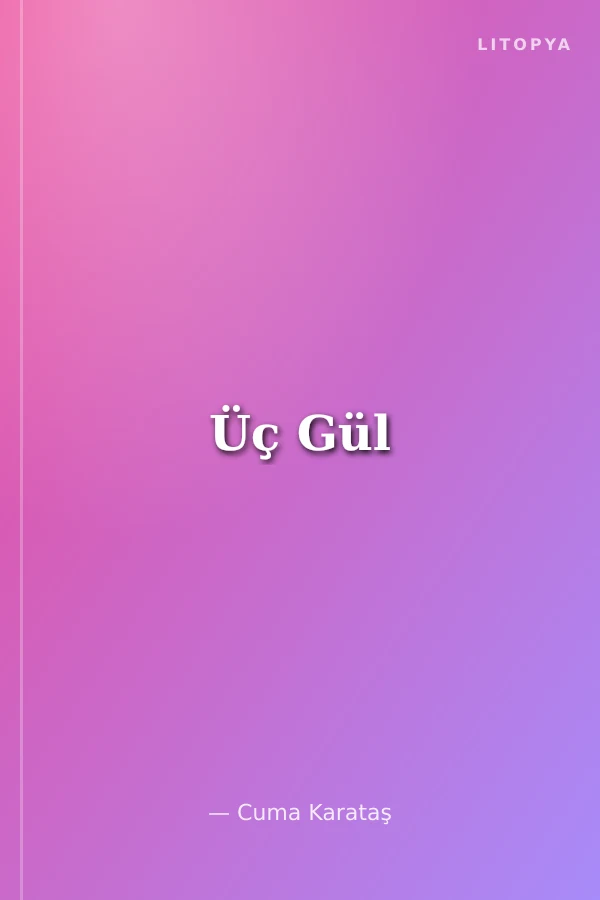 Üç Gül