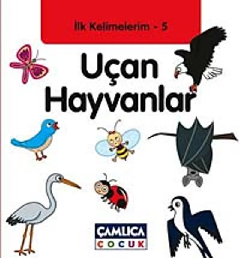 Uçan Hayvanlar / İlk Kelimelerim -5