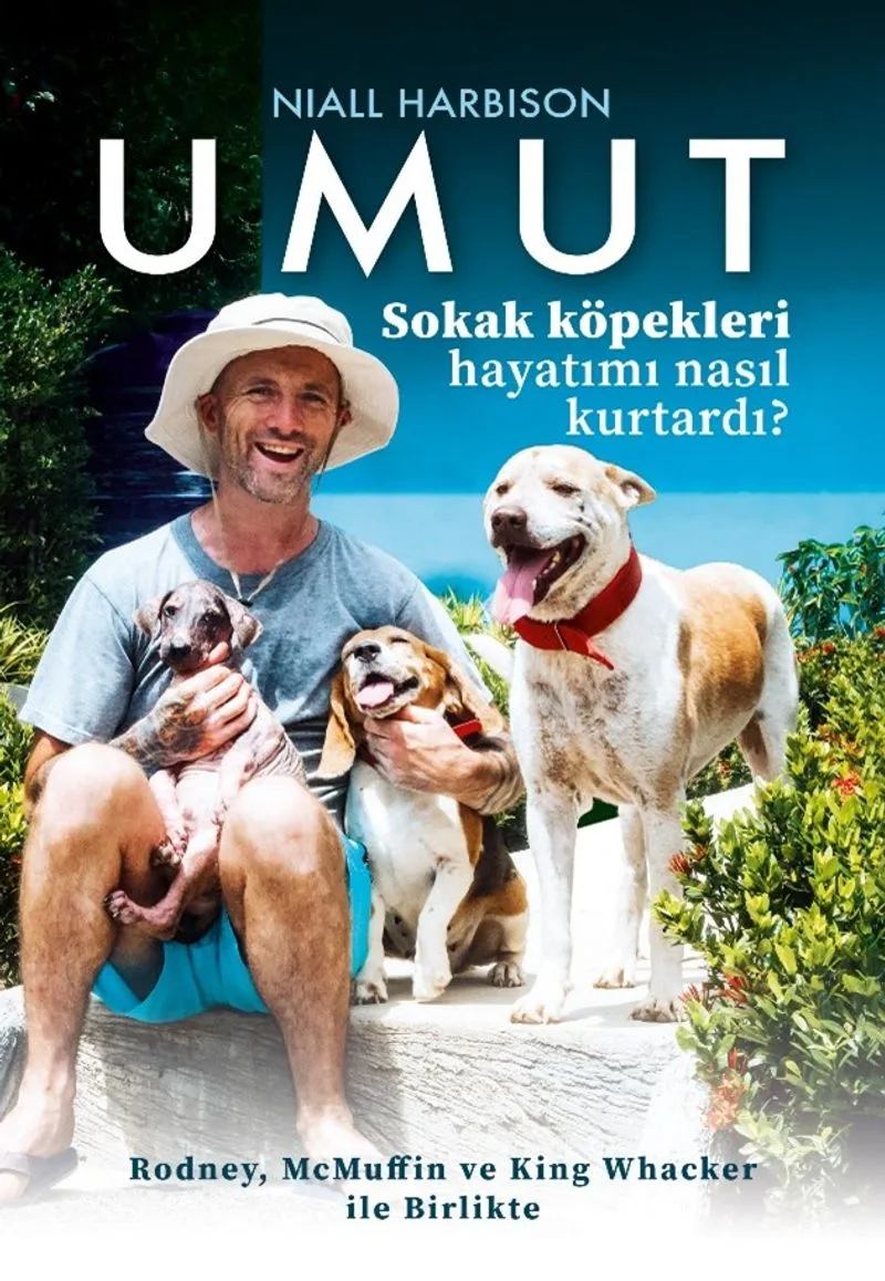 Umut Sokak Köpekleri Hayatımı Nasıl Kurtardı ?