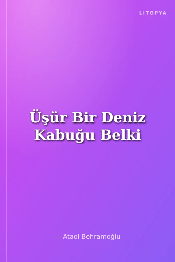 Üşür Bir Deniz Kabuğu Belki