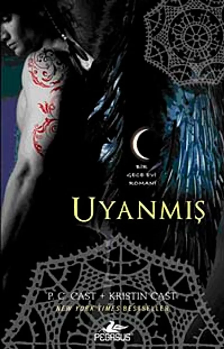 Uyanmış Bir Gece Evi Romanı