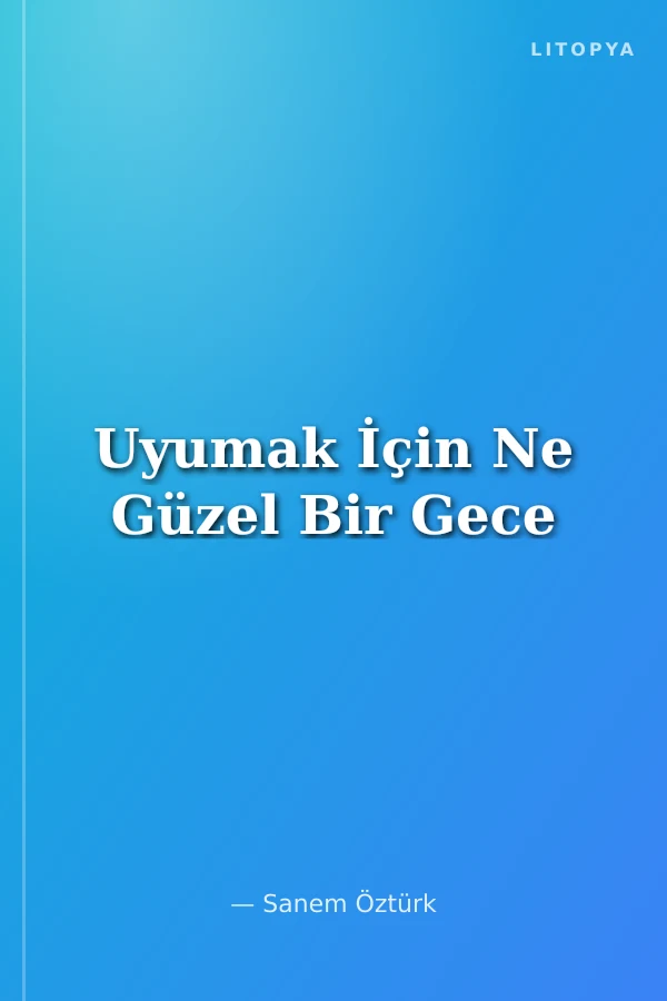 Uyumak İçin Ne Güzel Bir Gece