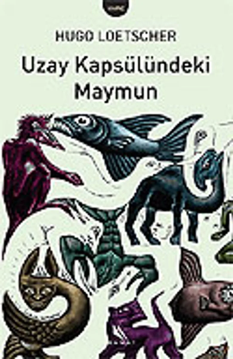 Uzay Kapsülündeki Maymun