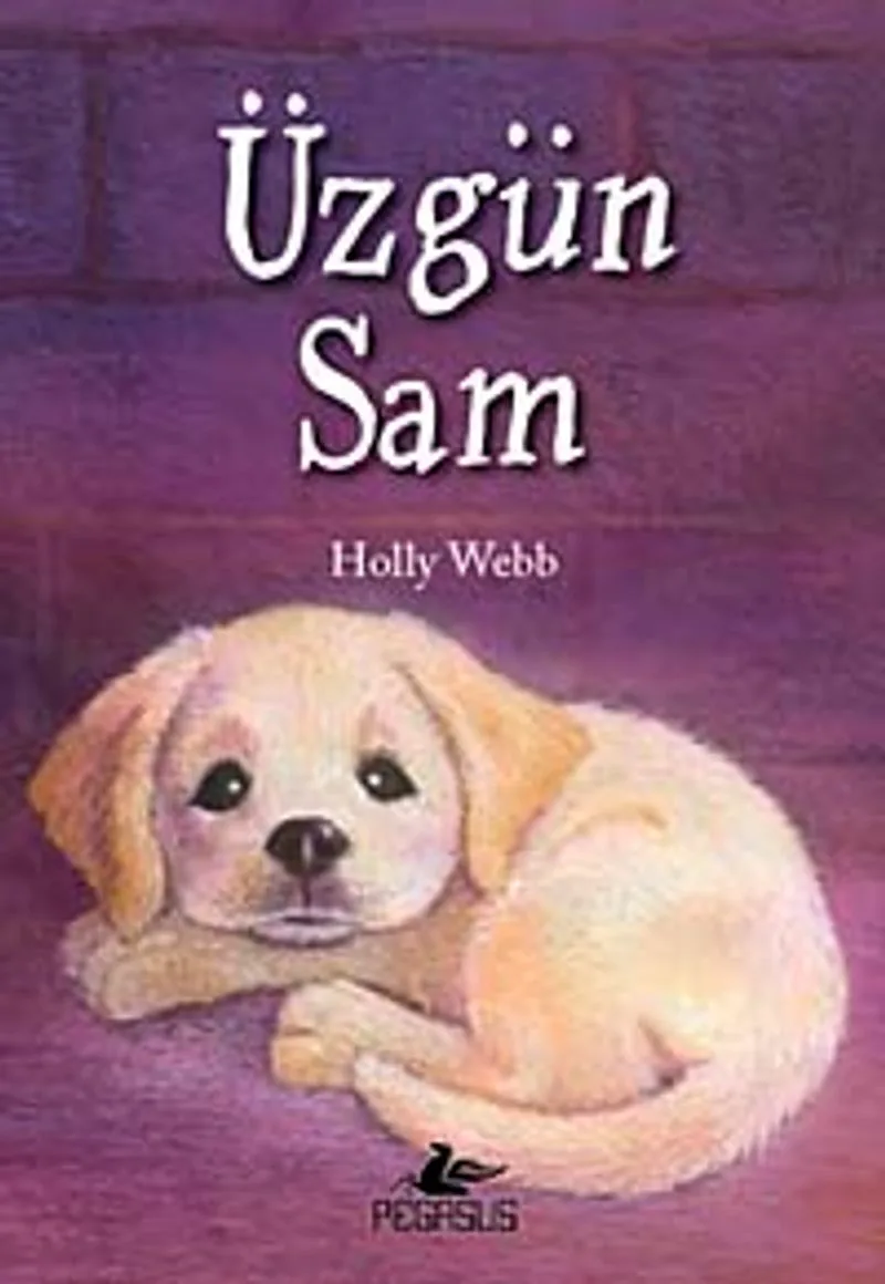 Üzgün Sam