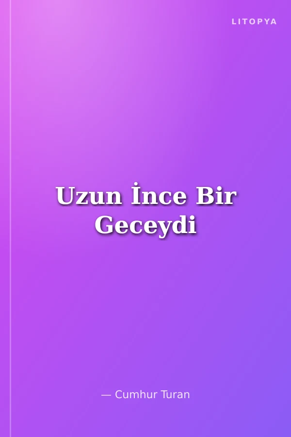 Uzun İnce Bir Geceydi