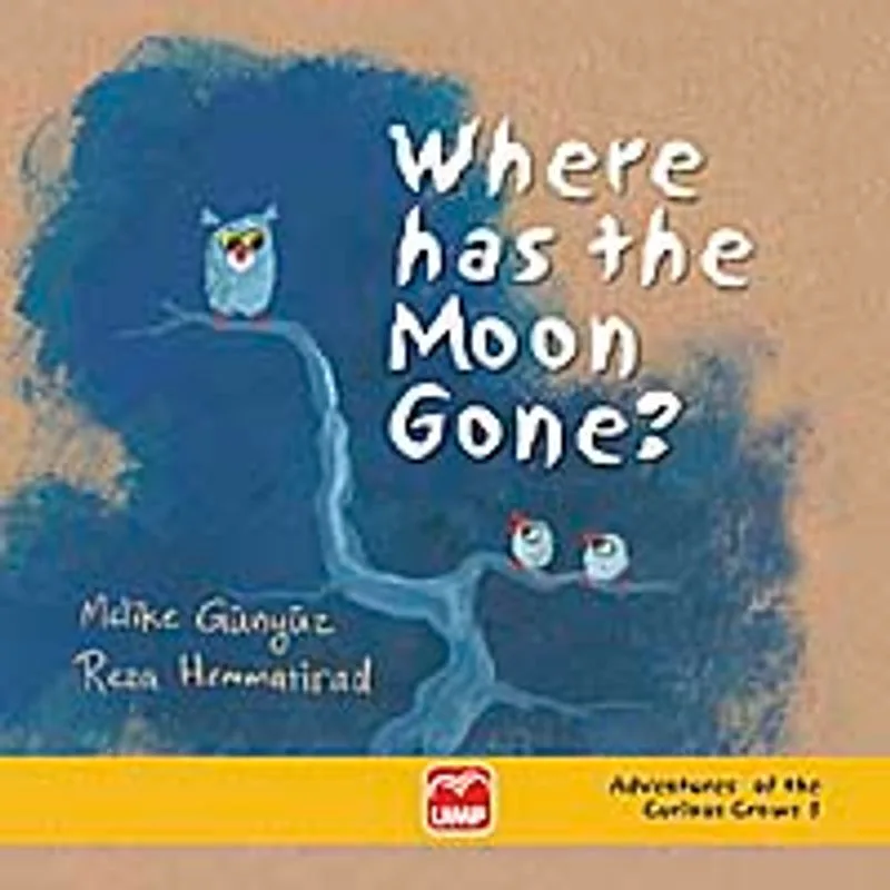 Where Has the Moon Gone?
