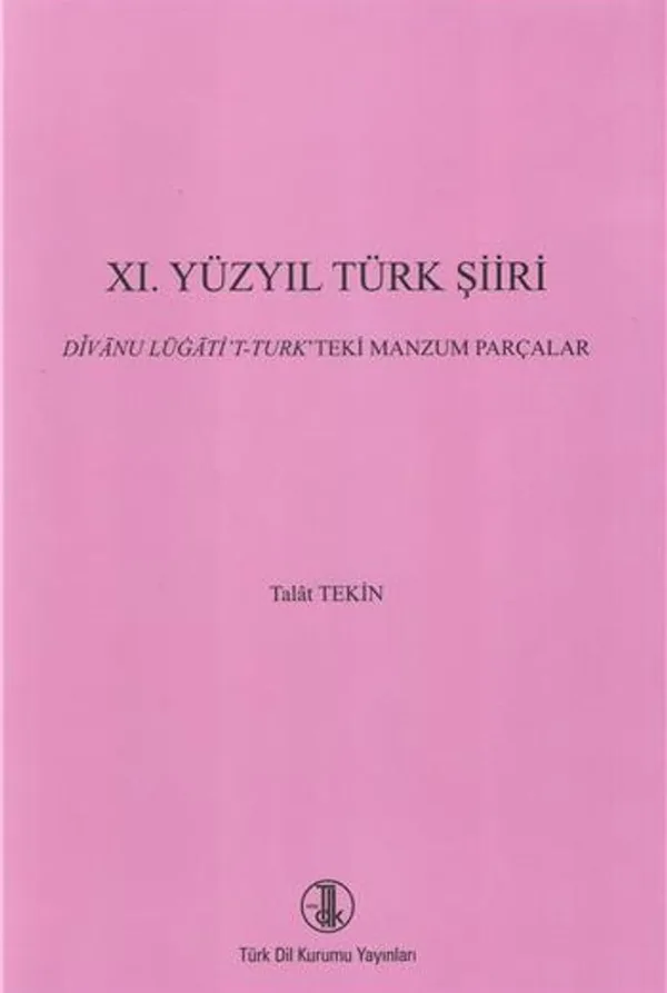 XI. Yüzyıl Türk Şiiri
