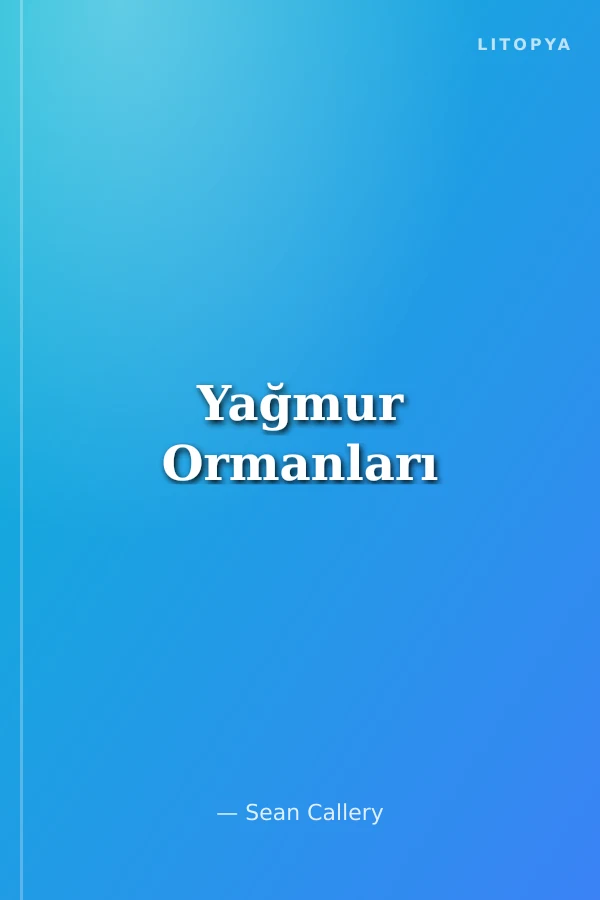 Yağmur Ormanları