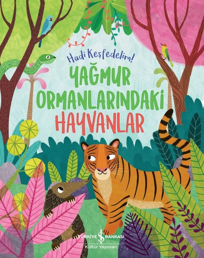 Yağmur Ormanlarındaki Hayvanlar / Hadi Keşfedelim!