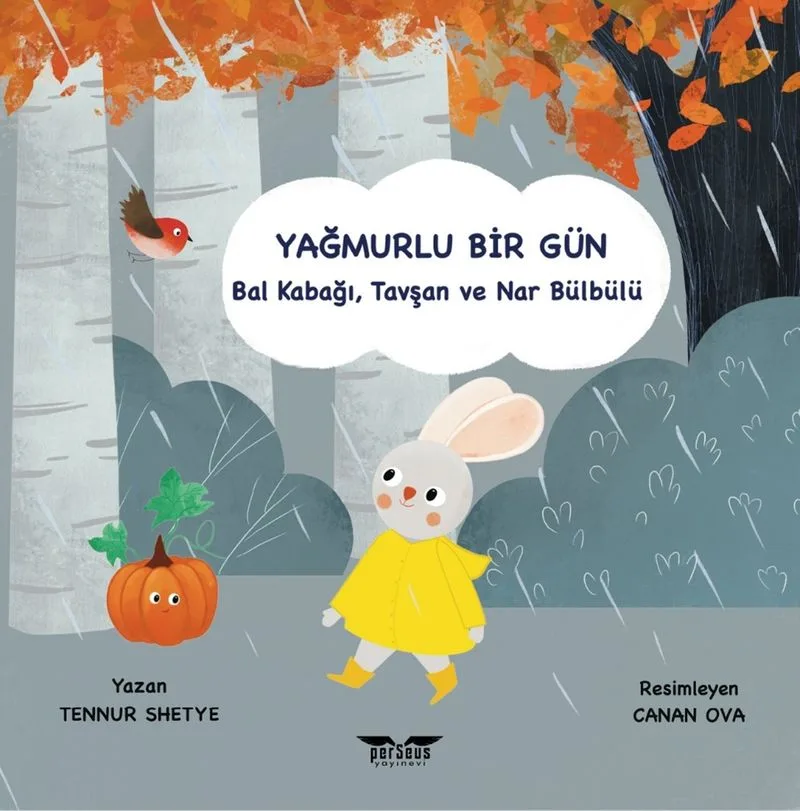 Yağmurlu Bir Gün