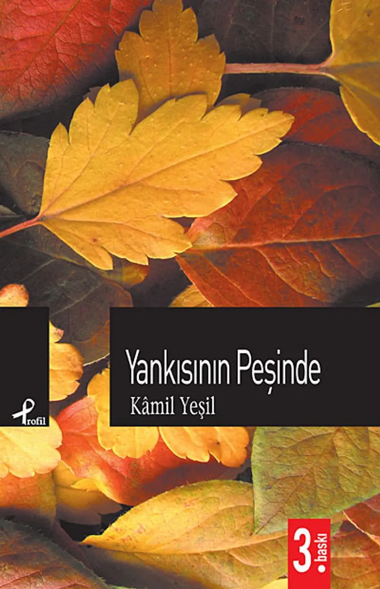 Yankısının Peşinde