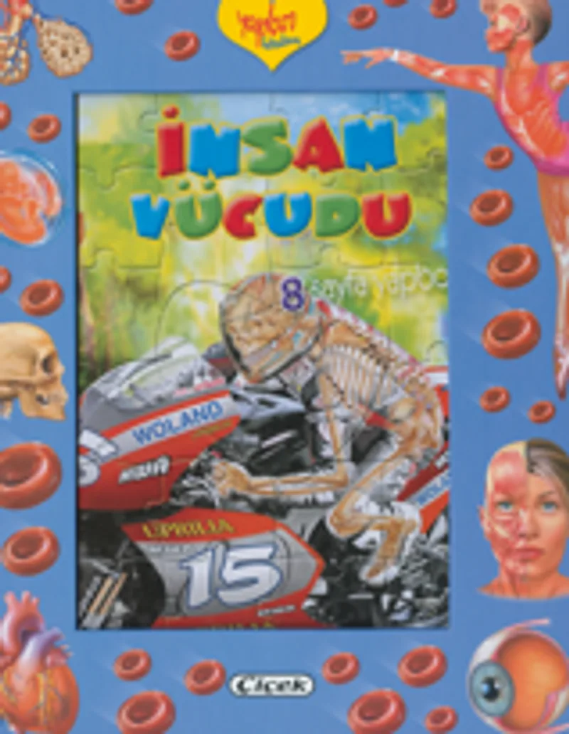 Yapboz Kitabım - İnsan Vücudu
