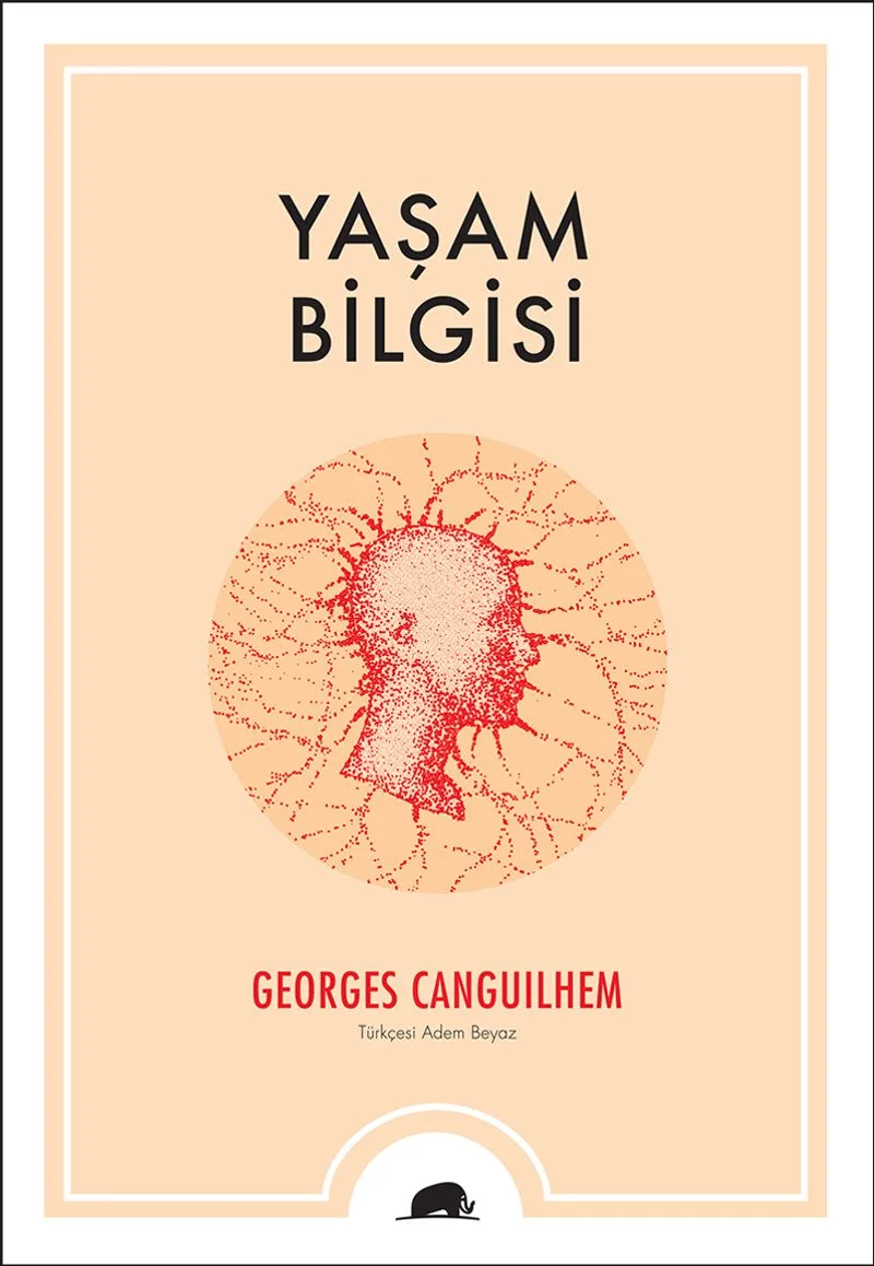 Yaşam Bilgisi