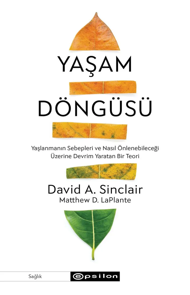 Yaşam Döngüsü Yaşlanmanın Sebepleri ve Nasıl Önlenebileceği Üzerine Devrim Yaratan Bir Teori