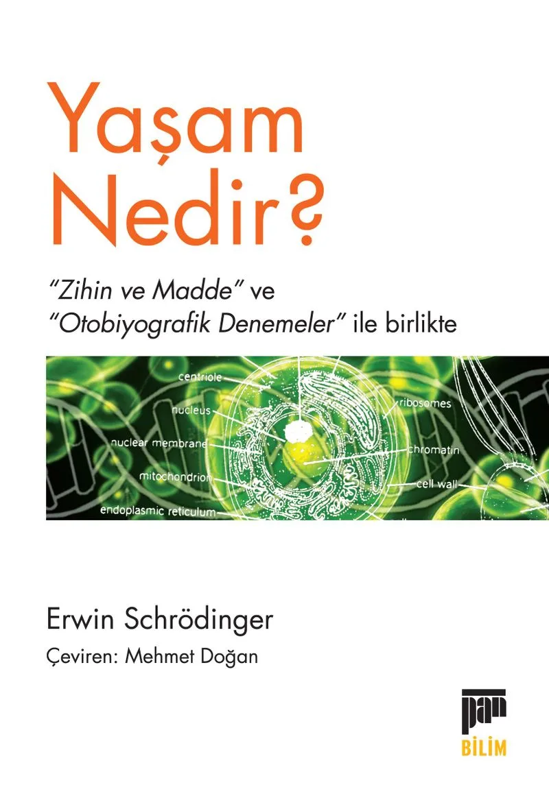 Yaşam Nedir ?