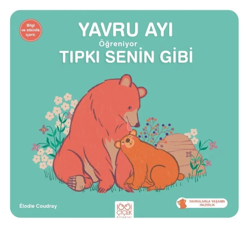 Yavru Ayı Öğreniyor Tıpkı Senin Gibi